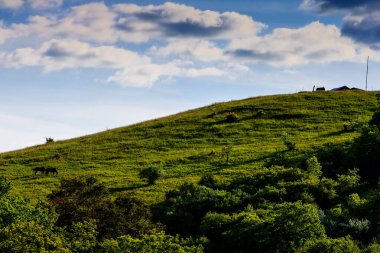 Spring, Dover, Ohio 'da Bir Tepe Üzerinde Bir At Çifti Manzarası
