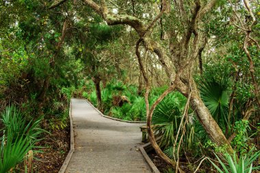 Meritt Adası Ulusal Vahşi Yaşam Sığınağı, Florida