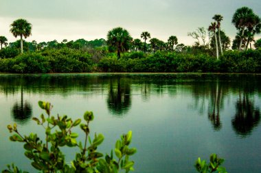 Meritt Adası Ulusal Vahşi Yaşam Sığınağı, Florida