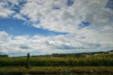 Sonbaharın Sonlarında Kırsal Manzara, Holmes County, Ohio