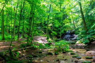 Honey Run Şelalesi, Knox County, Ohio