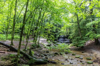 Honey Run Şelalesi, Knox County, Ohio