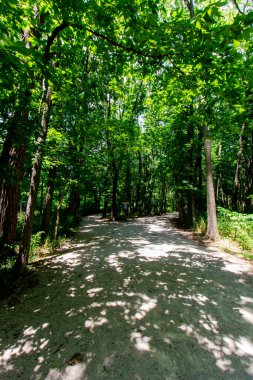 Charleston Şelalesi Koruma Alanı, Tipp City, Ohio