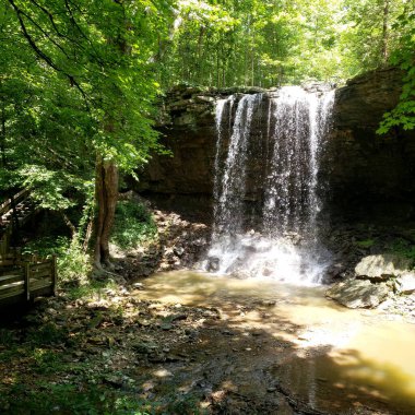 Charleston Şelalesi Koruma Alanı, Tipp City, Ohio