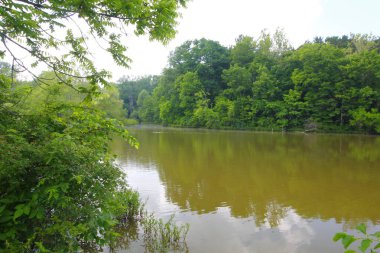 O 'Shaughnessy Doğa Koruma Alanı, Dublin, Ohio