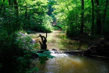 O 'Shaughnessy Doğa Koruma Alanı, Dublin, Ohio