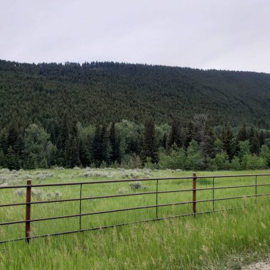 Montana 'daki Büyük Timber Kanyonu Yolu' ndan Görüntü