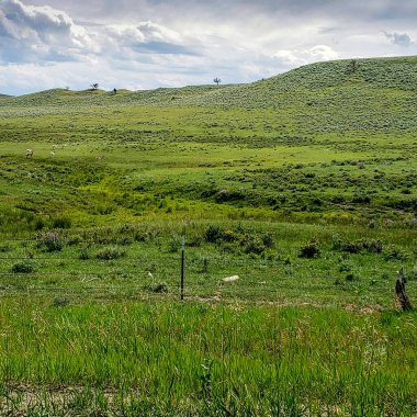 Montana 'daki Büyük Timber Kanyonu Yolu' ndan Görüntü