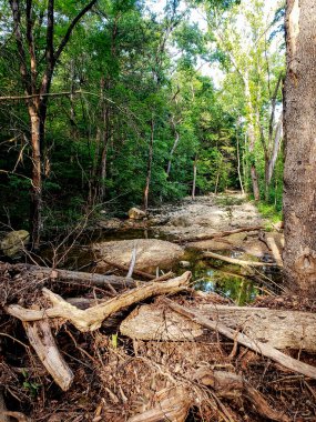 Roark Creek Tributary, Branson, Missouri