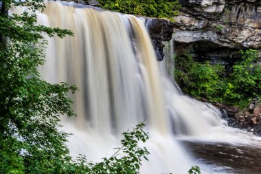 Blackwater Şelalesi, Blackwater Falls Eyalet Parkı, Batı Virginia