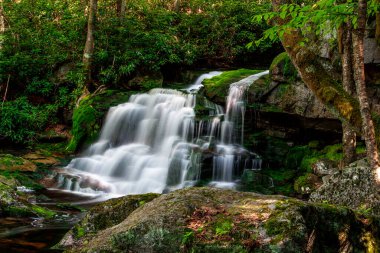 Elakala Şelalesi Numara 2, Blackwater Falls Eyalet Parkı, Batı Virginia