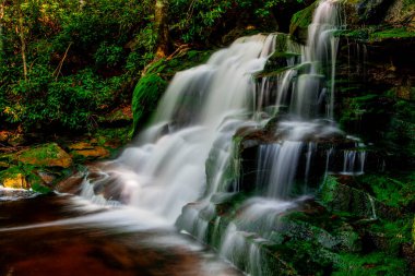 Elakala Şelalesi Numara 2, Blackwater Falls Eyalet Parkı, Batı Virginia