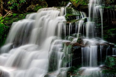 Elakala Şelalesi Numara 2, Blackwater Falls Eyalet Parkı, Batı Virginia