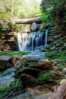 Elakala Şelalesi, Blackwater Şelalesi Eyalet Parkı, Batı Virginia