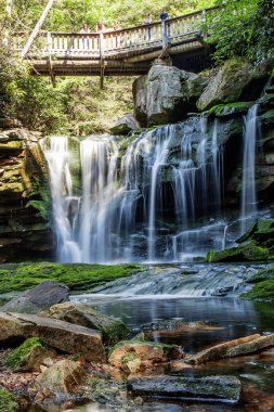 Elakala Şelalesi, Blackwater Şelalesi Eyalet Parkı, Batı Virginia