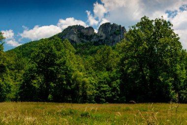 Seneca Sallanıyor Yazın, Batı Virginia