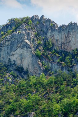 Seneca Sallanıyor Yazın, Batı Virginia