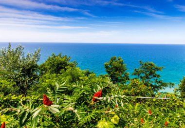 Yazın Manzara Gözcüsü, Arcadia, Michigan