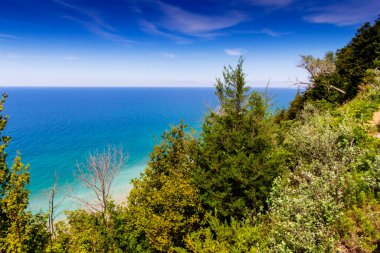 Yazın Manzara Gözcüsü, Arcadia, Michigan