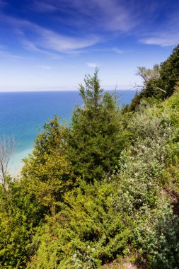 Yazın Manzara Gözcüsü, Arcadia, Michigan