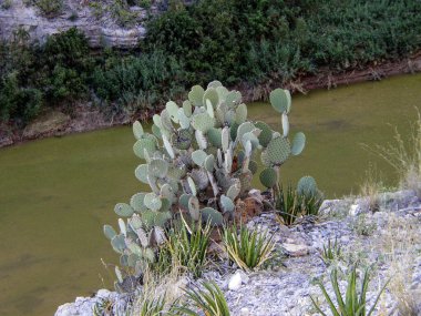 Santa Elena Kanyonu, Big Bend Ulusal Parkı, Teksas