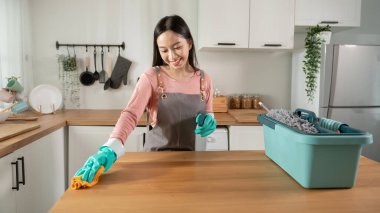 Mutlu Asyalı genç kadın kanepe ve mobilyaları temizliyor, sağlıklı yaşam tarzı konsepti