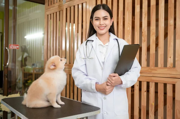 Una Joven Veterinaria Femenina Con Estetoscopio Examinando Perro Clínica Veterinaria — Foto de Stock