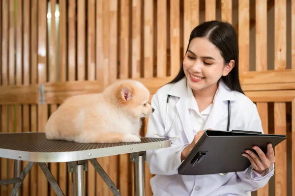若い女性獣医師で聴診器検査犬で獣医クリニック — ストック写真