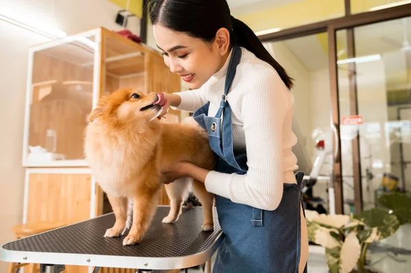 Μια Γυναίκα Επαγγελματίας Groomer Κούρεμα Σκυλί Στο Κατοικίδιο Ζώο Spa — Φωτογραφία Αρχείου