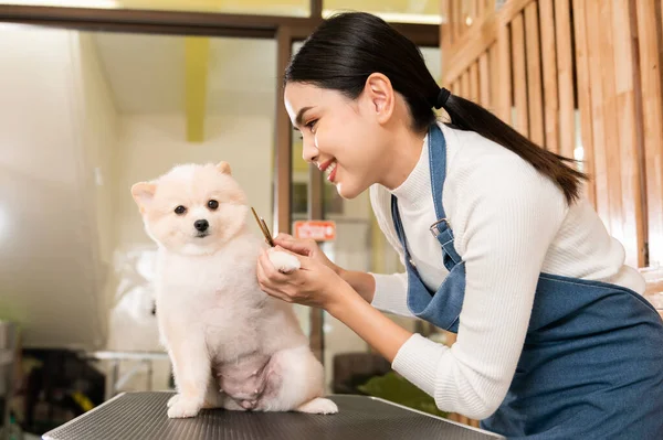 一位女性专业美容师在宠物温泉美容院修剪发犬 — 图库照片
