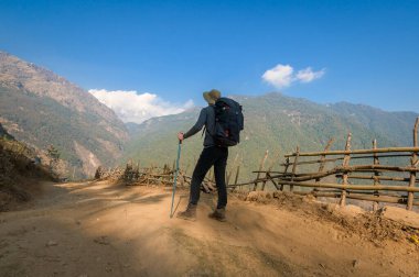 Genç bir gezgin orman yolunda yürüyor, Nepal