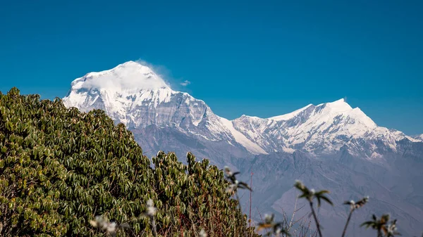 アナプルナ山脈の美しい景色 ネパール — ストック写真