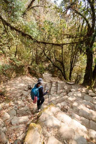 Jovem Viajante Caminhando Trilha Floresta Nepal — Fotografia de Stock
