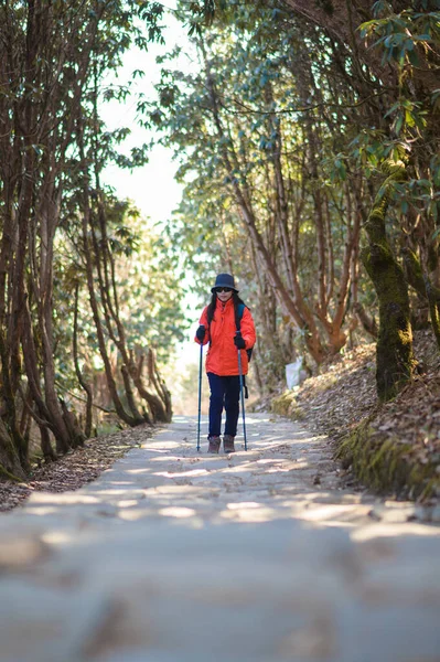 Genç bir gezgin orman yolunda yürüyor, Nepal