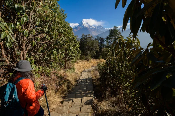 ネパールの森林歩道をトレッキングする若い旅行者 — ストック写真