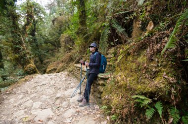 Genç bir gezgin orman yolunda yürüyor, Nepal