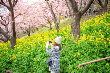 Çekici kadın Japonya, Matsuda 'da Kiraz Çiçeği ile eğleniyor.