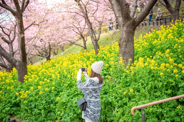 Привлекательная Женщина Наслаждается Cherry Blossom Мацуде Япония — стоковое фото