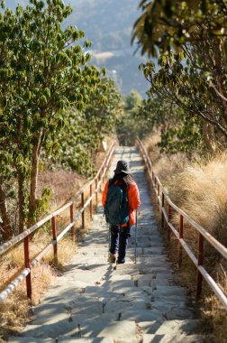 Genç bir gezgin orman yolunda yürüyor, Nepal