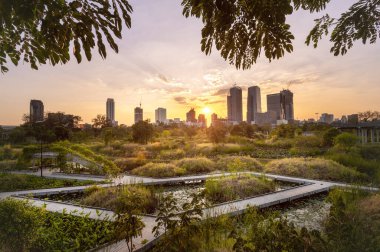 BANGKOK, THAILAND - 03 Ocak 2024: Benchakitti Orman Parkı, Benchakitti Orman Parkı doğanın ve şehrin mükemmel bir şekilde bir araya geldiği Bangkok 'un yeni simgesi. . 