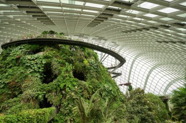 SINGAPORE - 28 Aralık 2022 - Körfez kenarındaki Gardens 'ta Bulut Ormanı Kubbesi