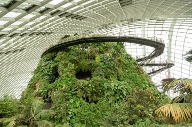 SINGAPORE - 28 Aralık 2022 - Körfez kenarındaki Gardens 'ta Bulut Ormanı Kubbesi