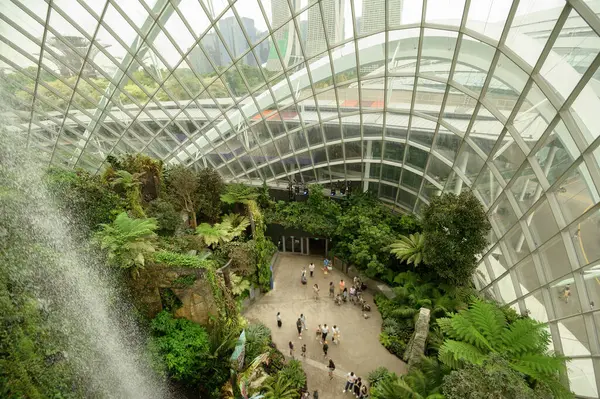 Singapur Diciembre 2022 Ambiente Cúpula Bosque Nuboso Gardens Bay Bosque Imagen de stock