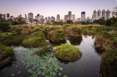 BANGKOK, THAILAND - 03 Ocak 2024: Benchakitti Orman Parkı, Benchakitti Orman Parkı doğanın ve şehrin mükemmel bir şekilde bir araya geldiği Bangkok 'un yeni simgesi. . 