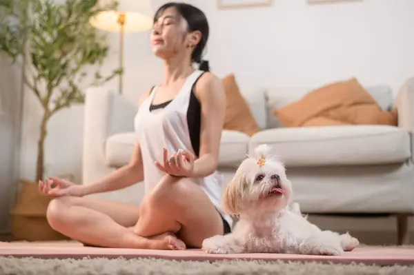 Young woman in sportswear doing meditation practice and yoga with cute dog in living room, healthy lifestyle, Mental health concept.