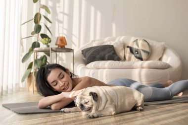 Spor giyinen Asyalı bir kadın evde tatlı bir köpekle yoga yapıyor, sağlıklı bir yaşam tarzı, akıl sağlığı konsepti..