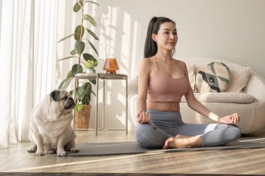 Spor giyinen Asyalı bir kadın evde tatlı bir köpekle yoga yapıyor, sağlıklı bir yaşam tarzı, akıl sağlığı konsepti..