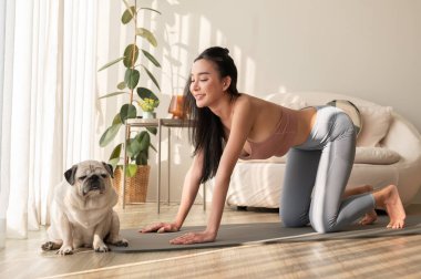 Spor giyinen Asyalı bir kadın evde tatlı bir köpekle yoga yapıyor, sağlıklı bir yaşam tarzı, akıl sağlığı konsepti..