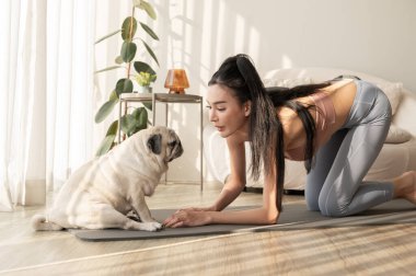 Spor giyinen Asyalı bir kadın evde tatlı bir köpekle yoga yapıyor, sağlıklı bir yaşam tarzı, akıl sağlığı konsepti..