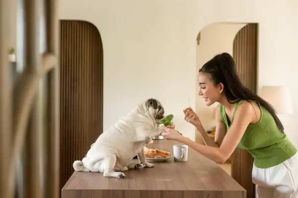 Asian woman preparing coffee and toast bread for breakfast enjoy with dog at the kitchen table in the morning